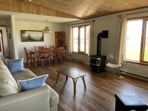 تلفزيون ذكي، مشغل دي في دي