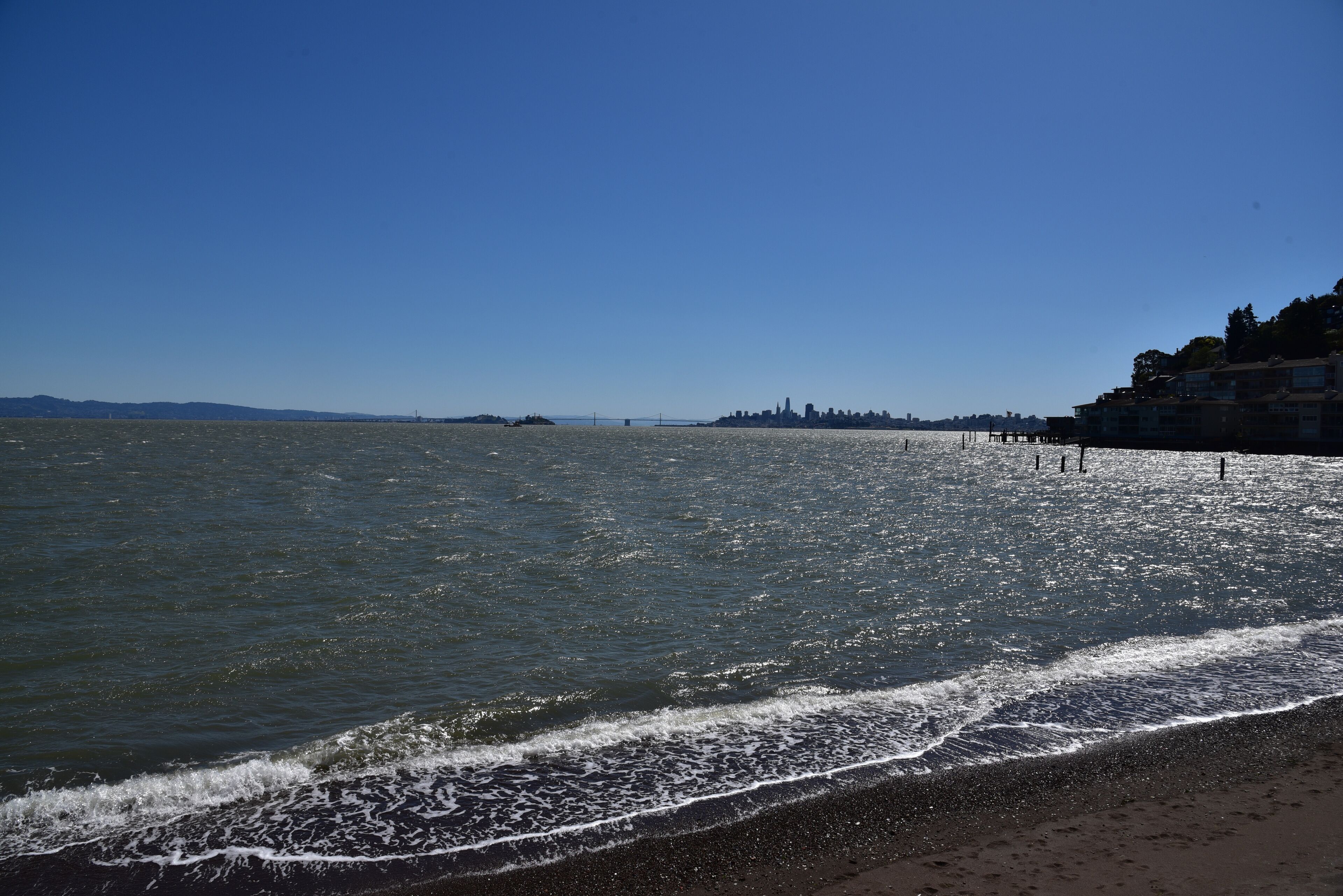 Sausalito Beachfront Cottage