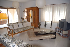 تلفزيون ذكي، كُتُب