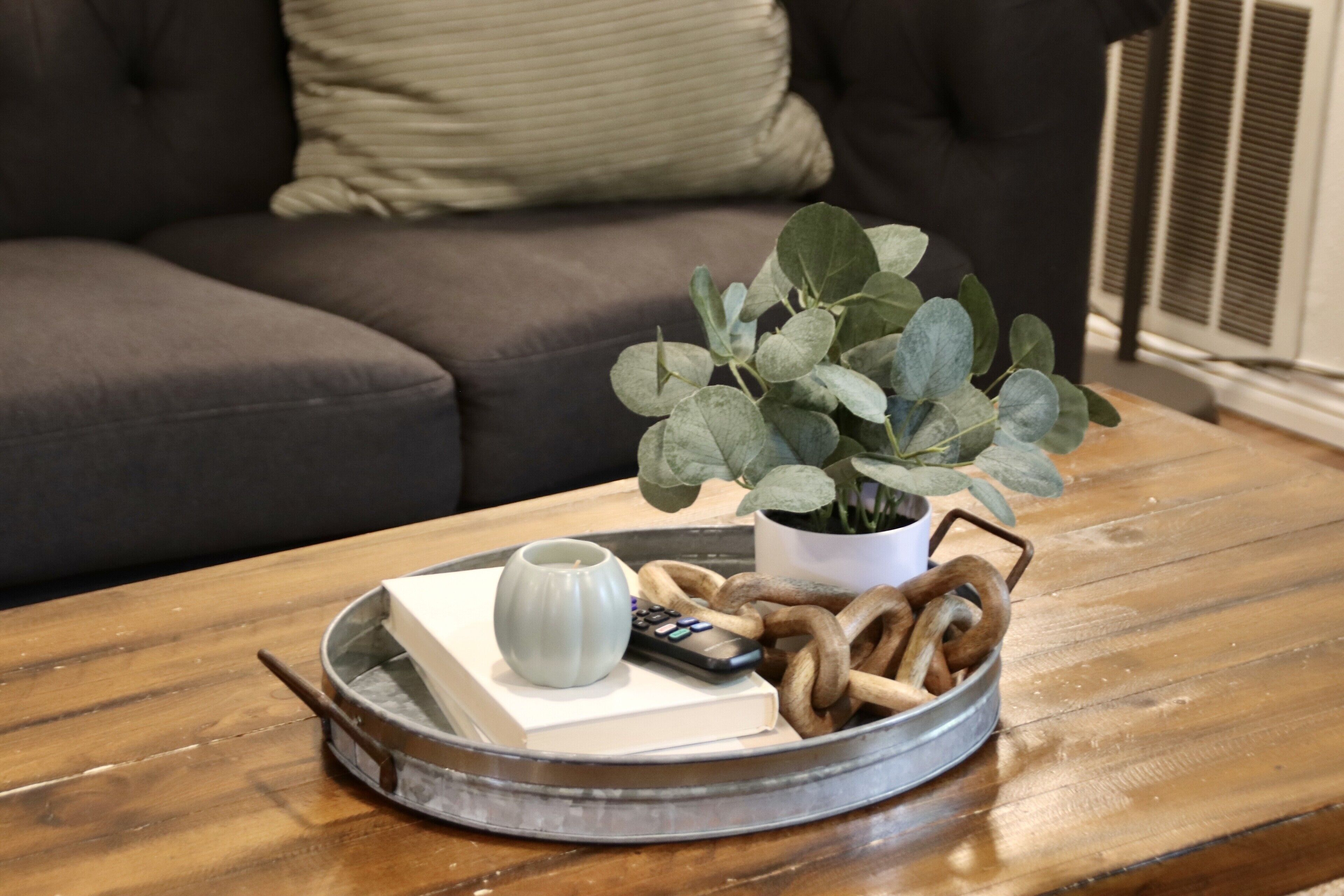 A round metal tray on a wooden table with a book, a remote control, a mug, and a potted plant with green leaves.