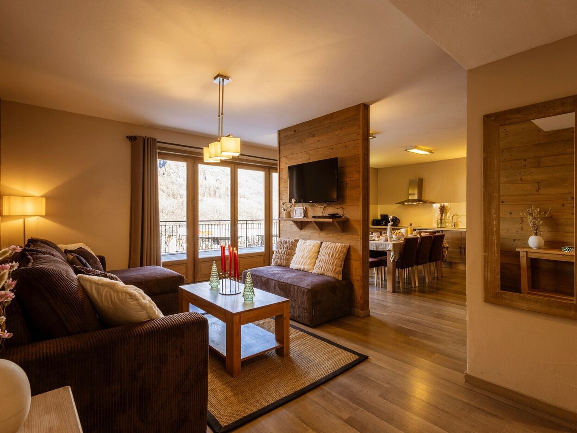 电视、DVD 播放器