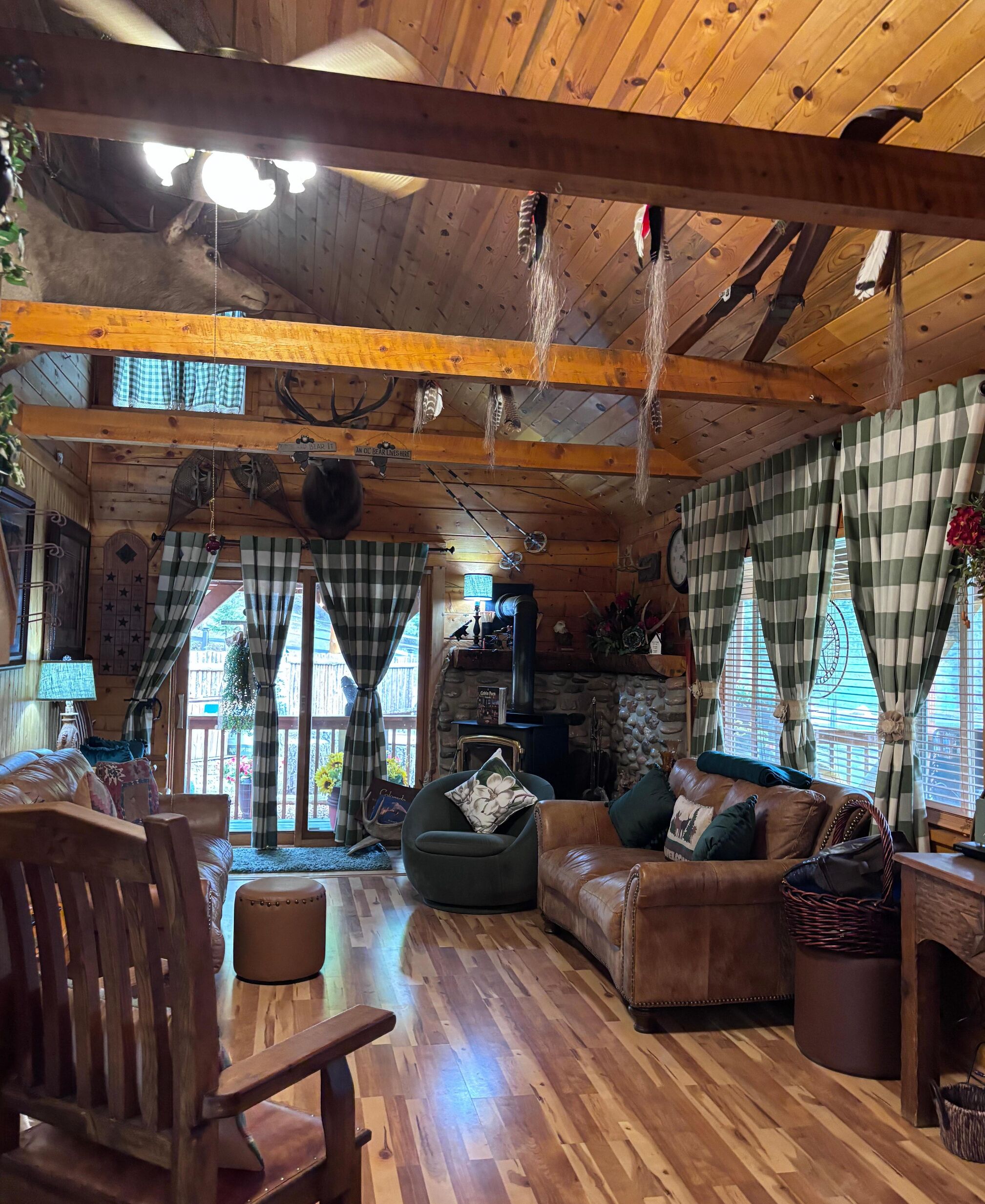 TV connectée, cheminée, lecteur de DVD, livres