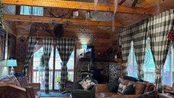 TV connectée, cheminée, lecteur de DVD, livres