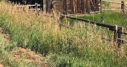 Are you thinking about cabin tripping in Colorado? We have you covered.
