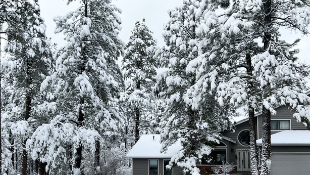 A house surrounded by snow-covered trees.