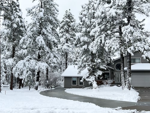 Adorable 2 bedroom guesthouse in the pines