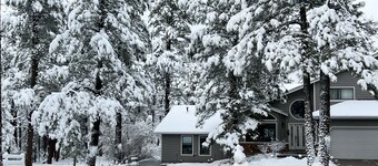 Adorable 2 bedroom guesthouse in the pines