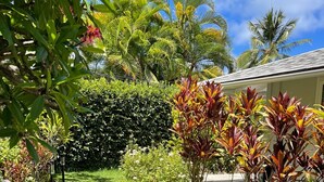 Un jardín bien cuidado con diversas plantas tropicales, un sendero despejado y un edificio al fondo.