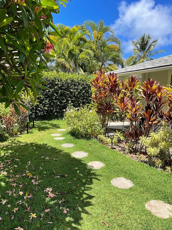 Un jardín bien cuidado con diversas plantas tropicales, un sendero despejado y un edificio al fondo.