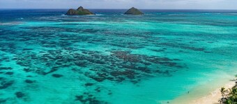 La Bella's Bed and Breakfast-Nai’a Suite-Walk to beach-In Kailua (O’ahu)
