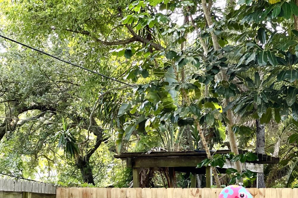 Safety Harbor Private vacation home