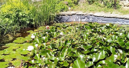 Ecological and peaceful country gîte in Cathar country, with horse accommodation