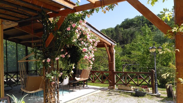Un espace extérieur aménagé, abrité et doté de poutres en bois, d’un fauteuil suspendu et d’une pergola ornée de roses roses.