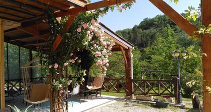 Ecological and peaceful country gîte in Cathar country, with horse accommodation