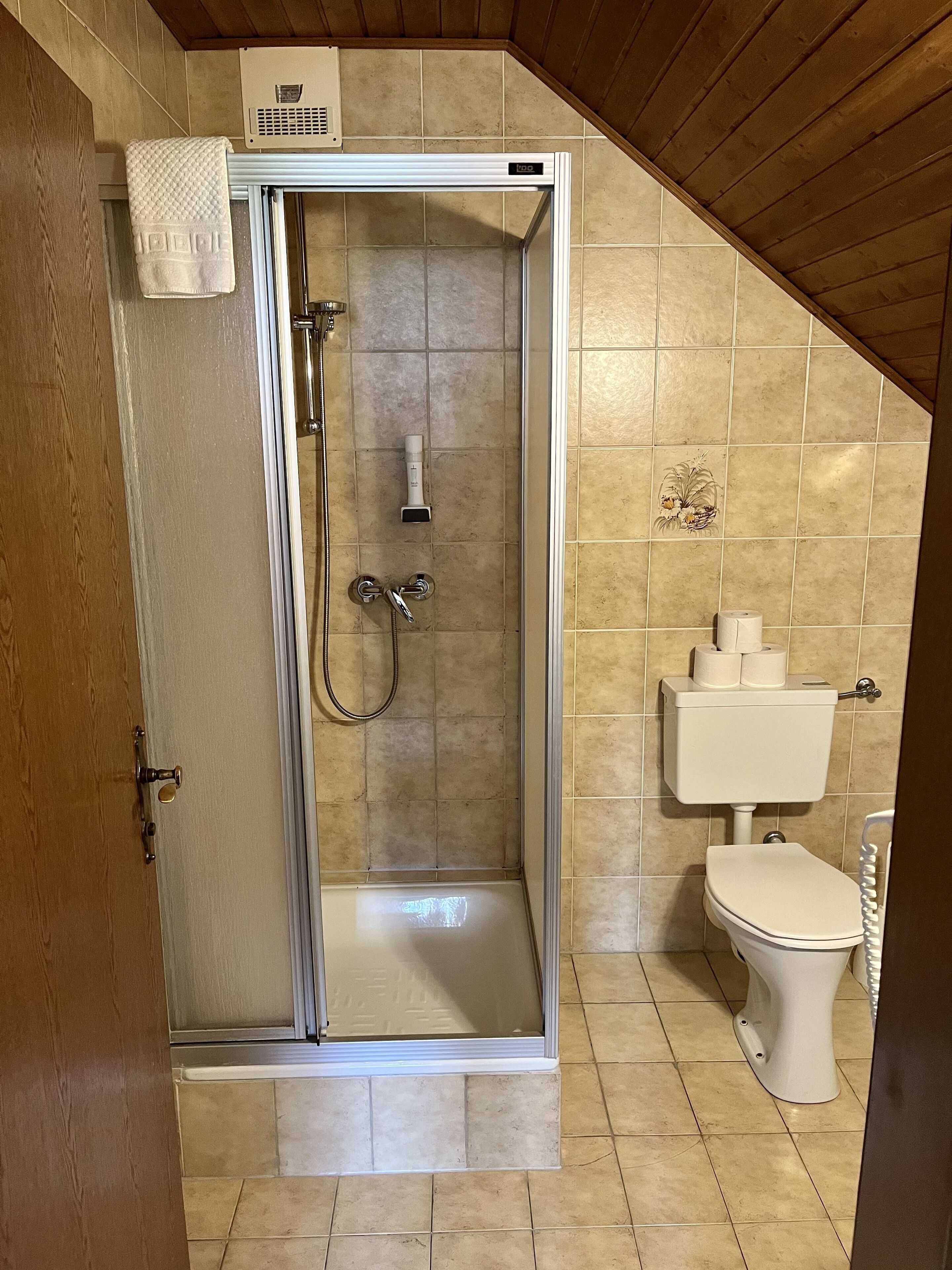 Een douche met glazen deur, een toilet en een handdoekhouder.