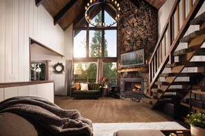 Smart TV, fireplace, books, music library