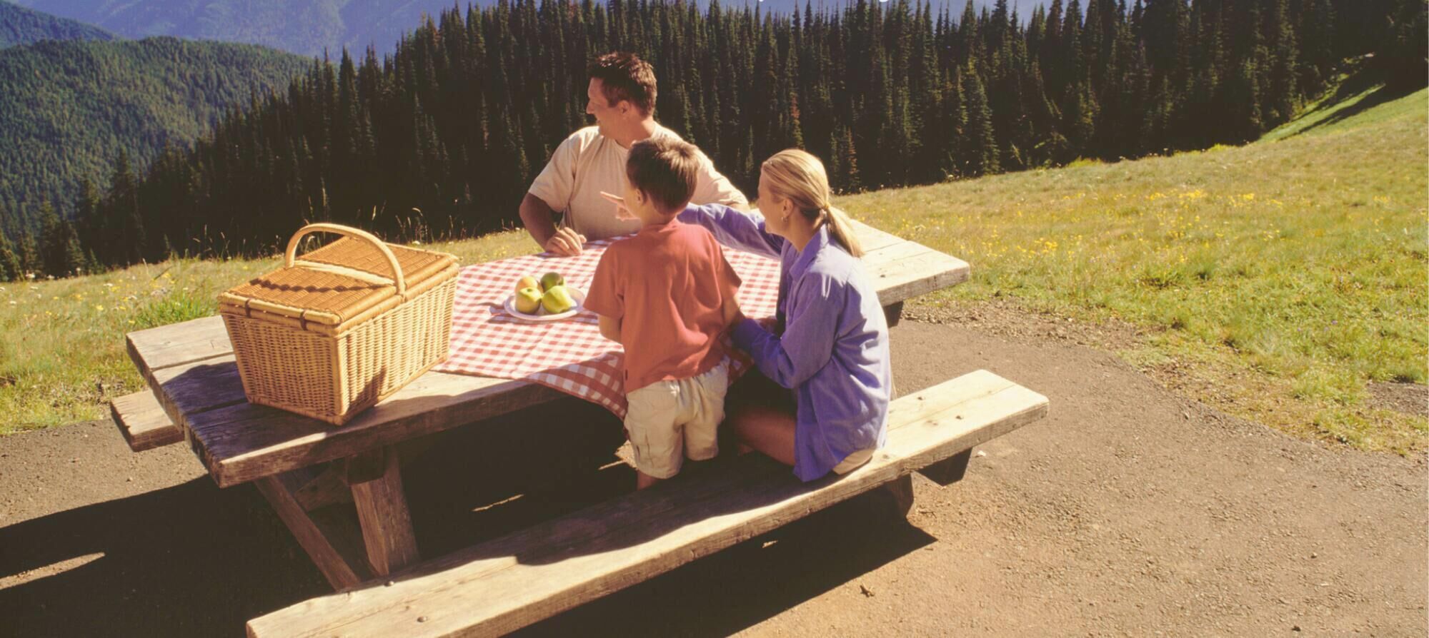 A family of three at a picnic table with a basket and apples.