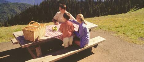 A family of three at a picnic table with a basket and apples.