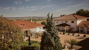 A large house with a tiled roof, a covered patio, and a well-maintained garden with various plants and a palm tree. - White wine apartment with panoramic view (Stadecken-Elsheim)