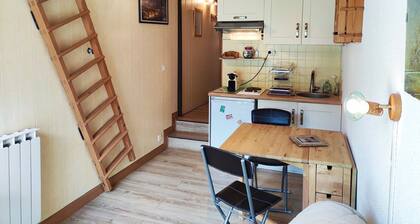 Studio mezzanine rĂ©novĂ© au cĆur du Front de Neige