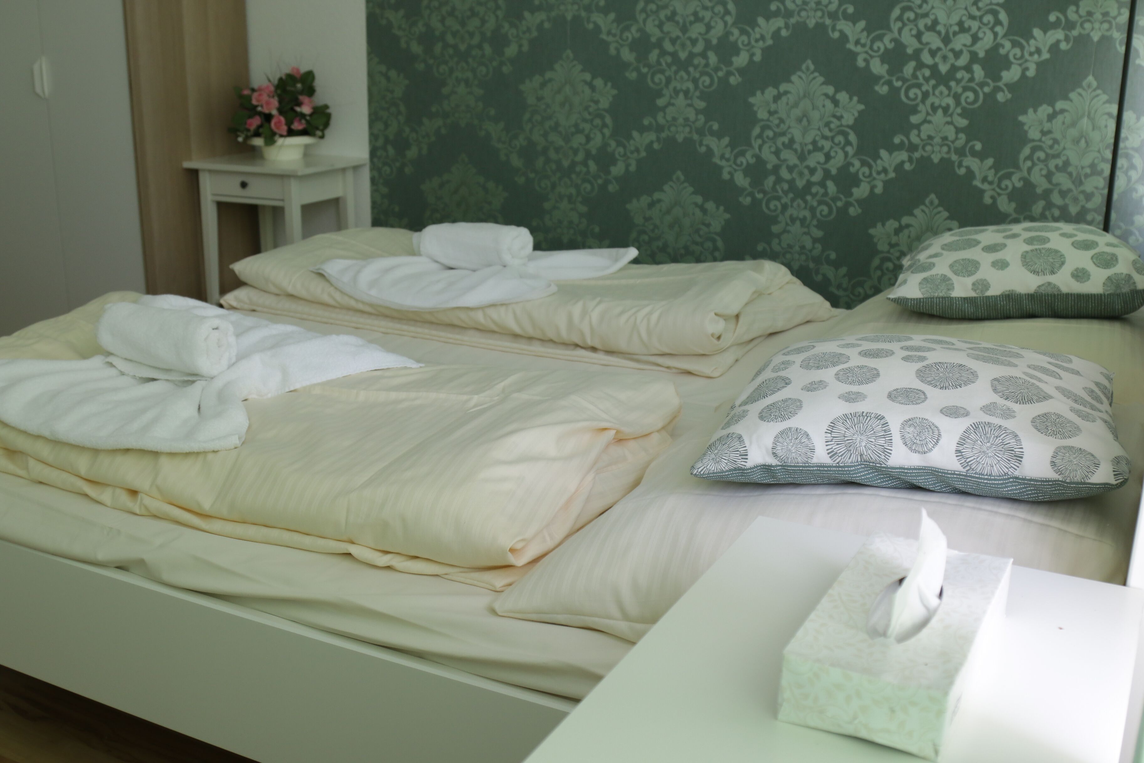 Standard Twin Room | Hypo-allergenic bedding, desk, laptop workspace, free WiFi