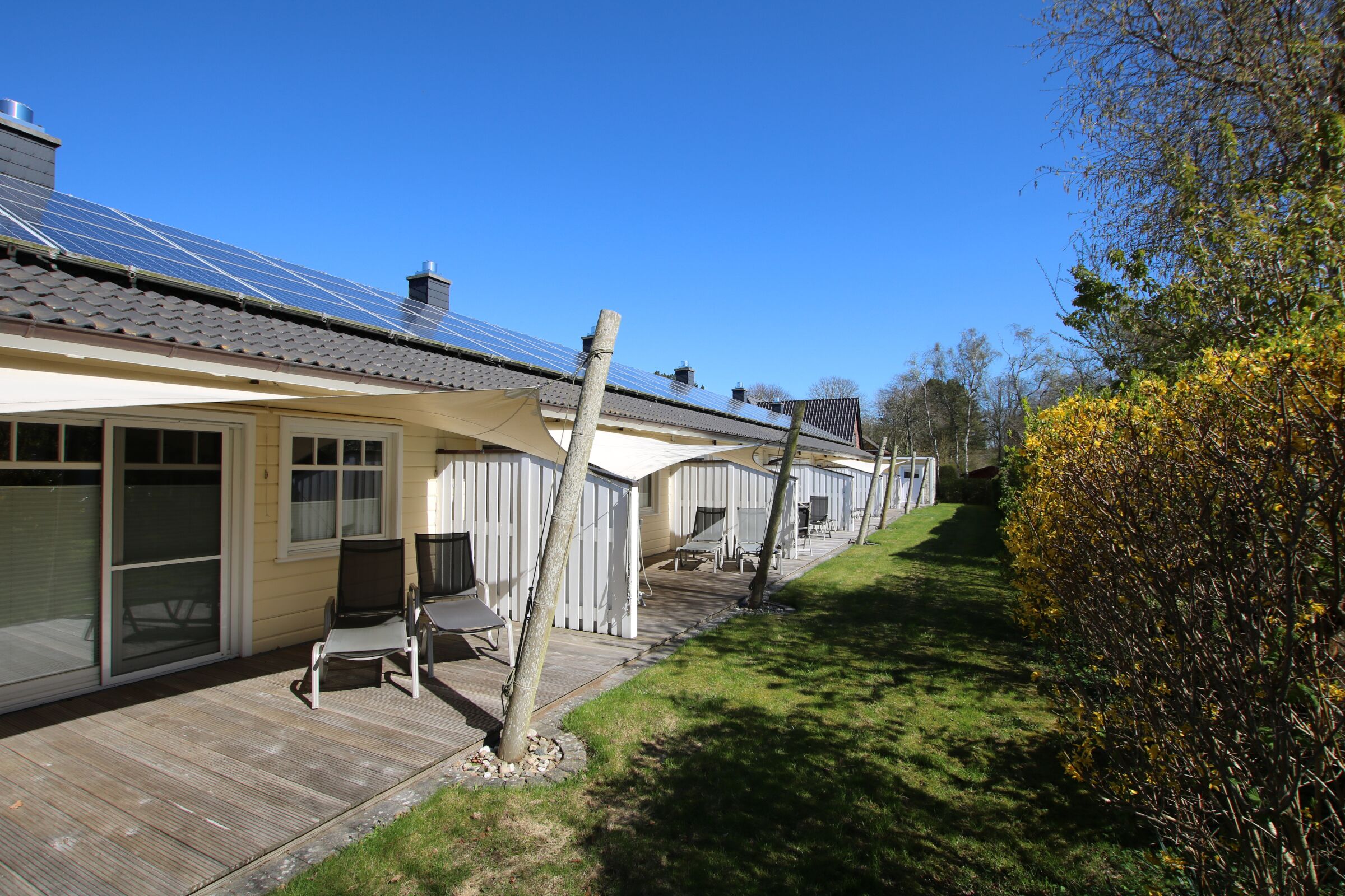 A row of cabins with sliding glass doors, a covered deck, and a tree in the foreground.