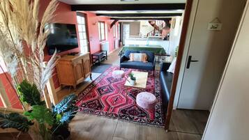 TV, fireplace, books