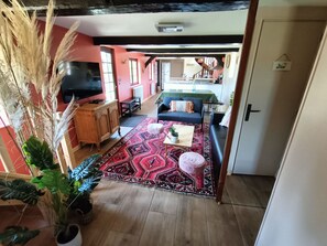Télévision, cheminée, livres