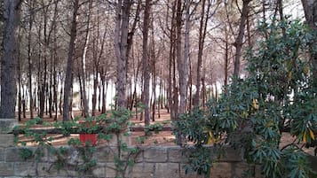 Jardines del alojamiento