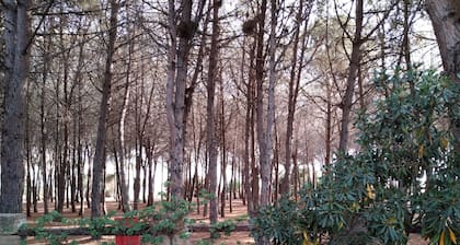 Holiday Home with Garden in front of the pine forest and the beach!
