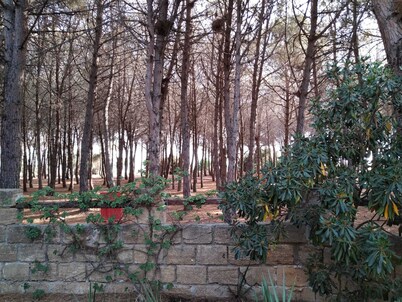 Holiday Home with Garden in front of the pine forest and the beach!