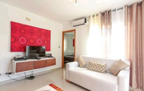 Smart TV, DVD player, books, video library