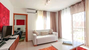Smart TV, DVD player, books, video library