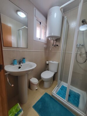 Bathtub, hair dryer, bidet, towels