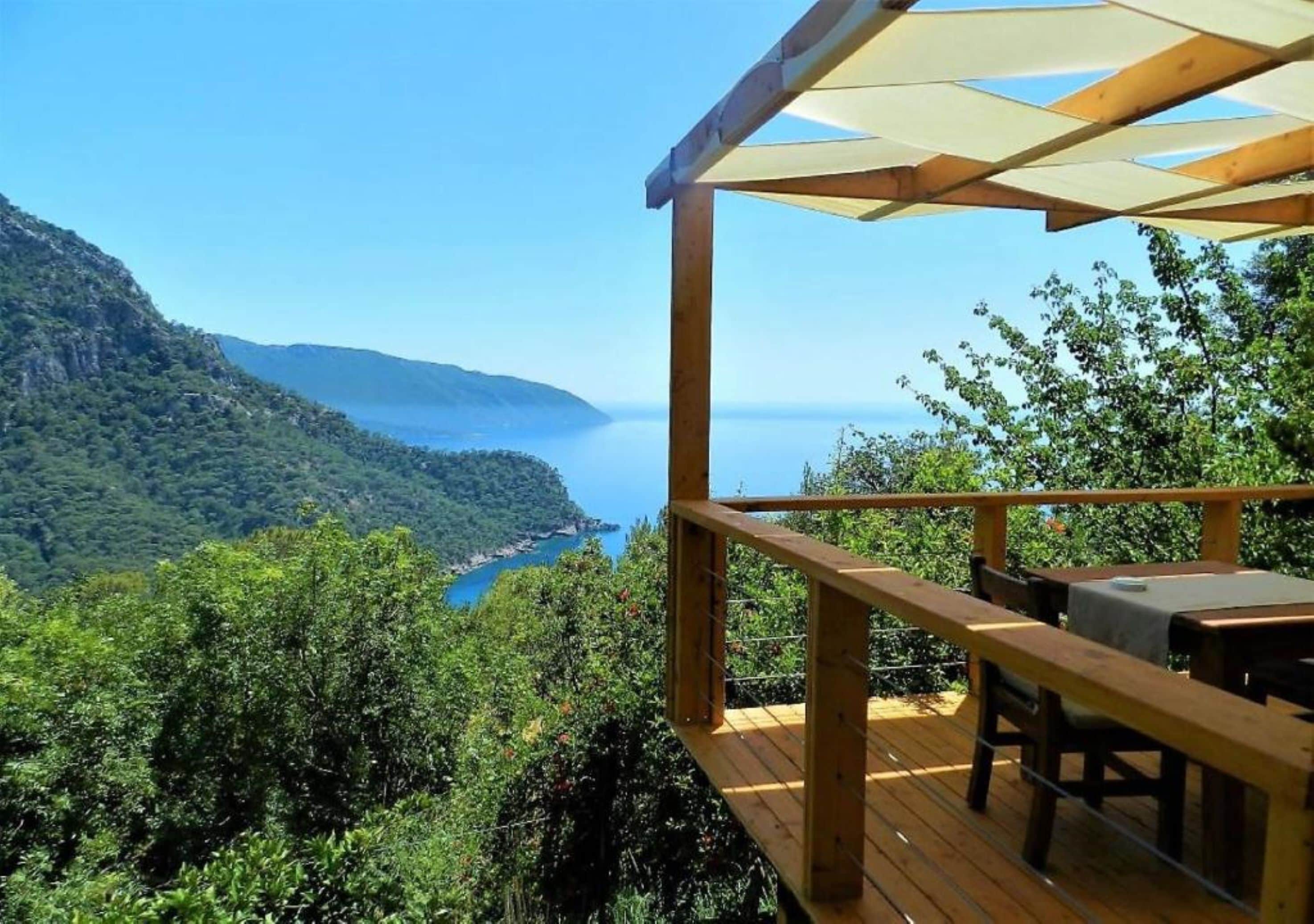 Casa Conforten un árbol | Terraza o patio