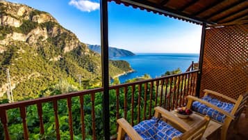 Deluxe Room | Terrace/patio