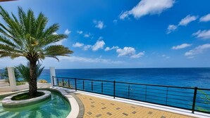 A pool area with a palm tree and a view of the ocean. - Seafront Villa in Lagun Curaçao -pool-Wifi + With Private access to sea! (Lagun)