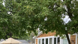 A patio area with a round table, two wooden chairs, a barbecue grill, and a white fence in the background. - Downtown Boyne City. Great Backyard  (Boyne City)