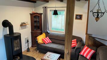 TV connectée, cheminée, livres, chaßne hi-fi