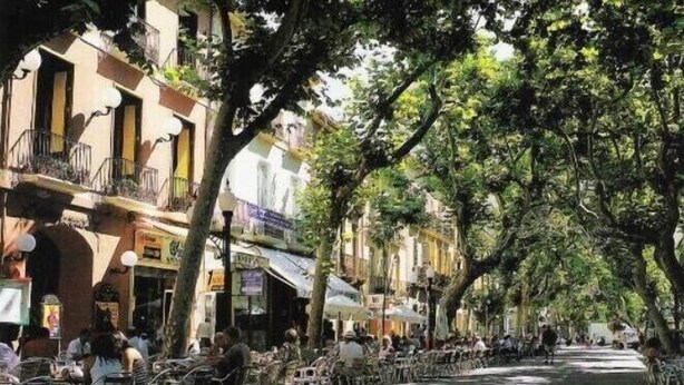 Een straat met bomen, terrasjes en gebouwen aan weerszijden.