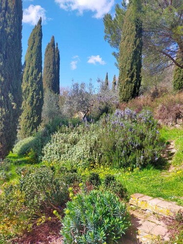 Peaceful Tuscan Retreat, Surrounded by Vineyards, Complete With Pool and Peace