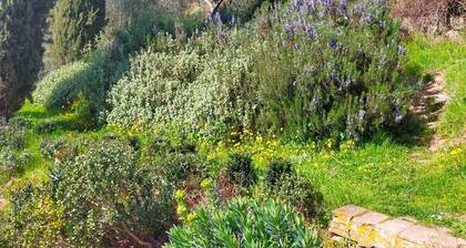 Peaceful Tuscan Retreat, Surrounded by Vineyards, Complete With Pool and Peace