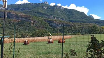 Àrea exterior de l'allotjament