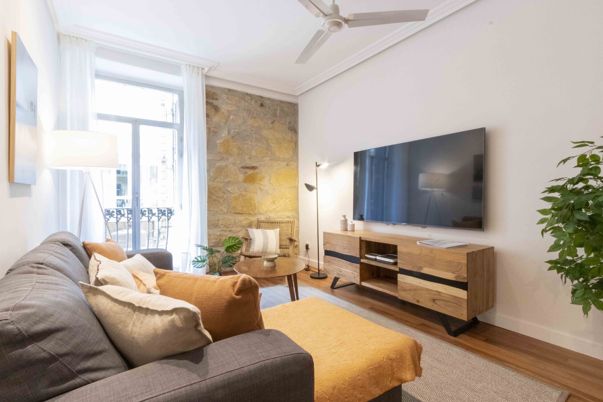 TV