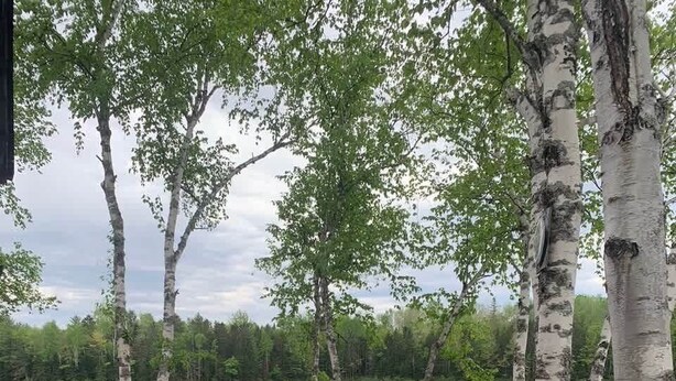 Un espace aménagé au bord du lac, avec des bancs et un foyer en pierre.