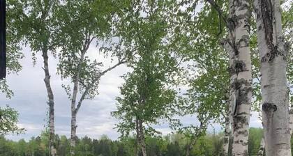 Birch Haven: A Pure Off-Grid Maine Escape