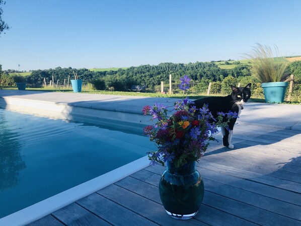 Seasonal outdoor pool, open 10:00 AM to 9:30 PM, pool loungers