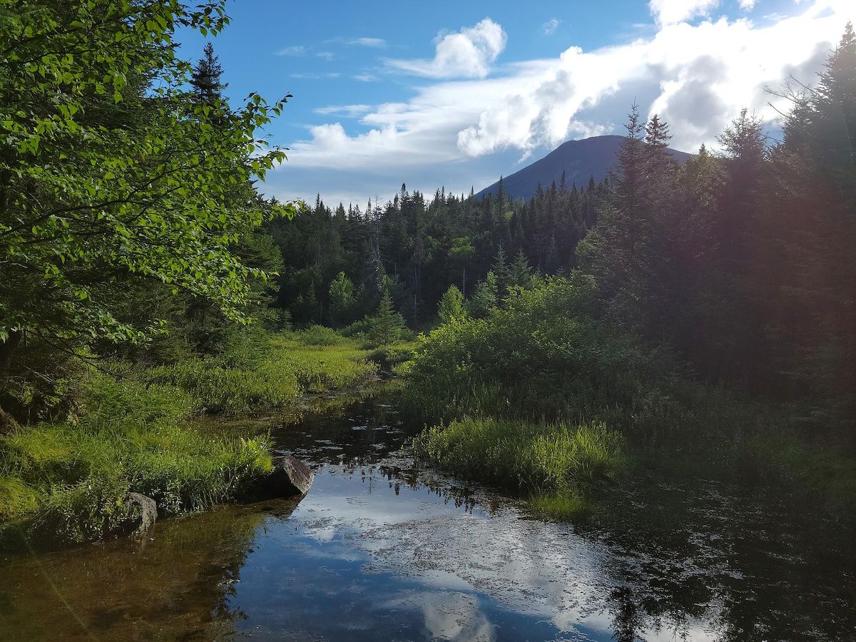 Eine natürliche Landschaft mit einem Fluss, üppigem Grün und einem Berg im Hintergrund.