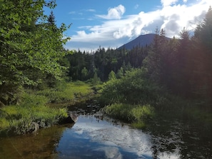Eine natürliche Landschaft mit einem Fluss, üppigem Grün und einem Berg im Hintergrund.