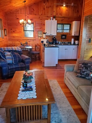 智能电视、壁炉